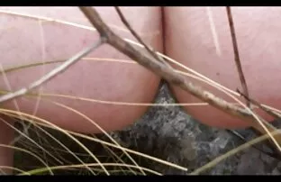 XXX یک مادر بلند پایه پسرش را به طور مخفیانه روی دوربین دستگیر کرد و محاربه را پیشنهاد سکس رایگان فیلم کرد